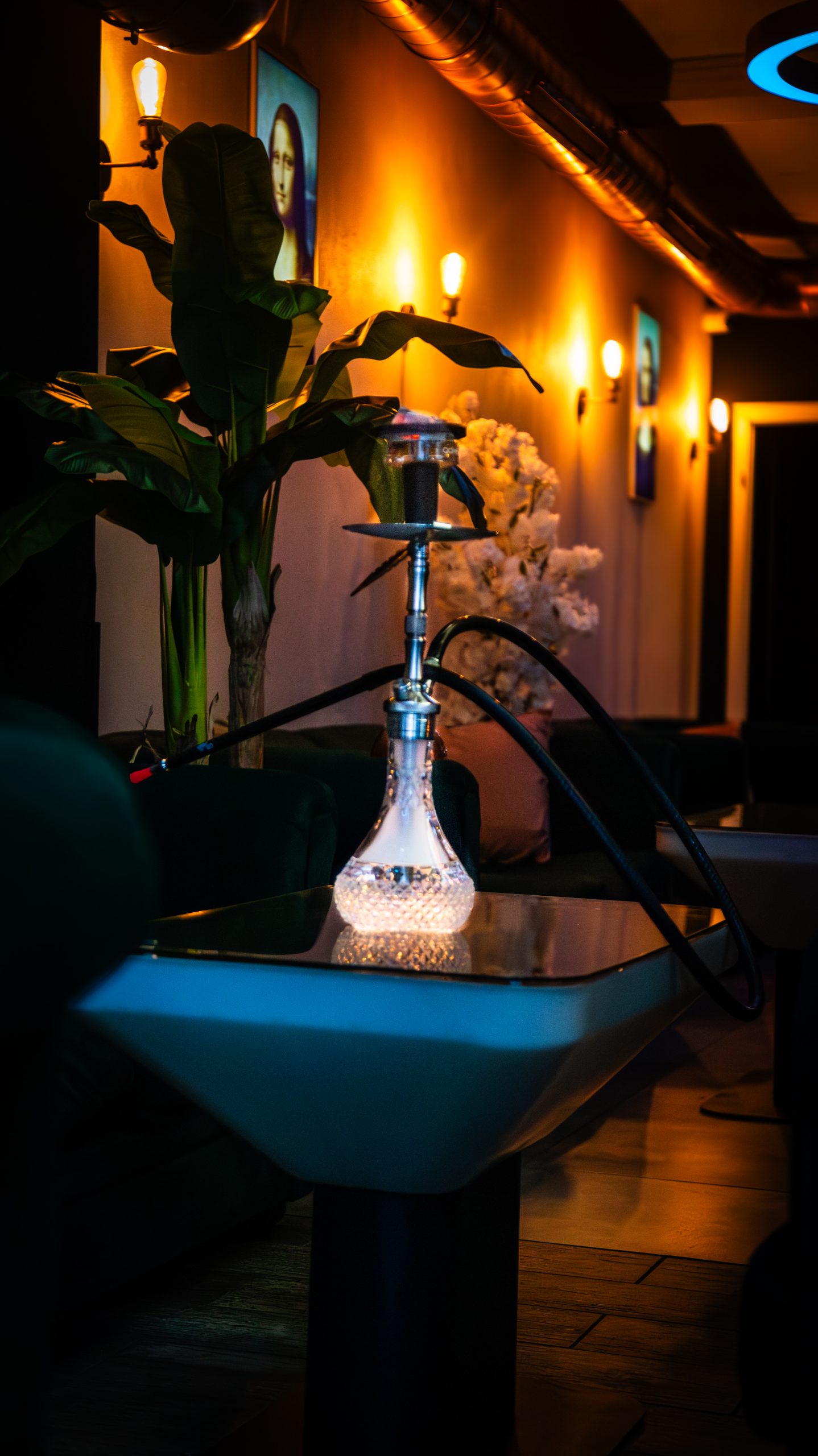Cocolounge Shisha
